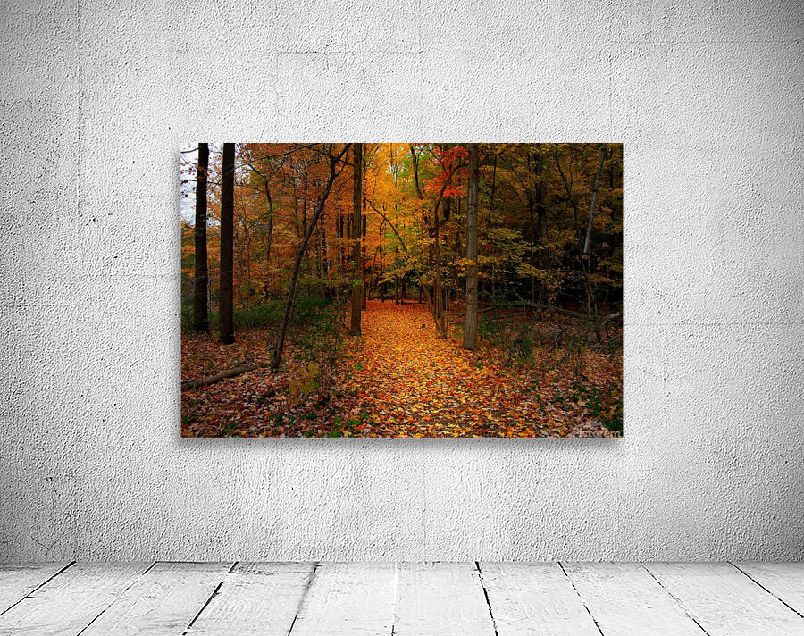 Path in the Woods Wall Preview