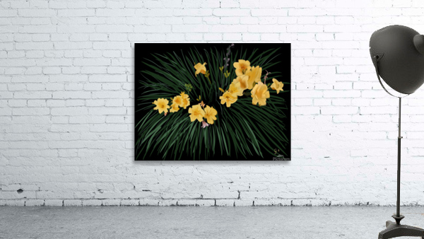 Fleurs dansantes Wall Preview