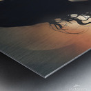 A beautiful Metal print