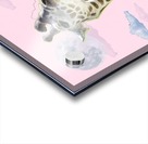Middle Age Giraffe Acrylic print