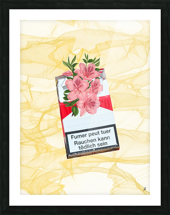 Smoking Kills Picture Frame print