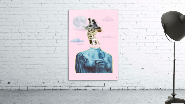 Middle Age Giraffe Wall Preview