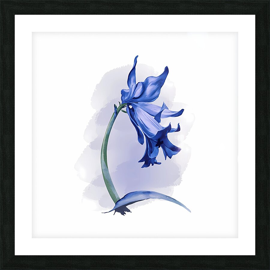 Bluebell Picture Frame print