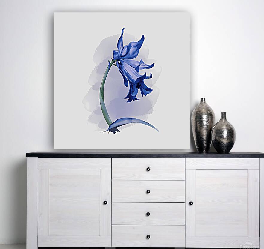 Bluebell Reproduction
