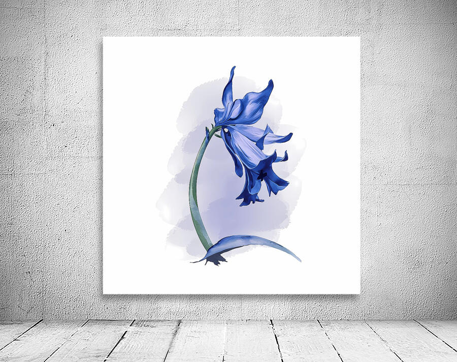 Bluebell Wall Preview