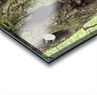 Faces Of The Smokies 2 Acrylic print