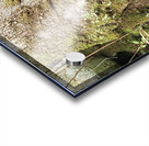 Faces Of The Smokies 1 Acrylic print