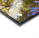 Golden Tree Acrylic print