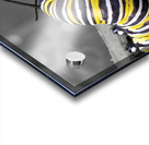 Monarch Caterpillars Acrylic print