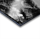 Tropical Fish Acrylic print