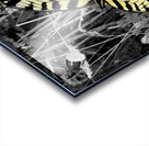 Swallowtail Butterfly Impression Acrylique