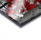 Virginia Creeper Acrylic print