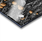 Puffball Mushrooms Impression Acrylique