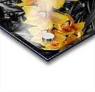 Orchids 3 Acrylic print