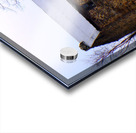 Favorite Farm House Acrylic print