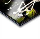 Ghostly Aliens Impression Acrylique