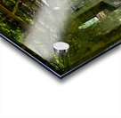 Mt Assisi Garden 2 Acrylic print