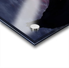 Statue n Sunset Acrylic print