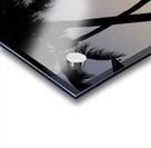 Florida Keys Sunrise & Palms 1 Acrylic print