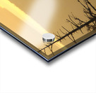 Golden Sunrise Acrylic print