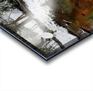 Reitz  2 Lower AMD Acrylic print