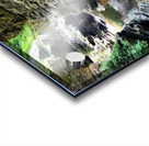 Watkins Glen State Park Acrylic print