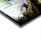 Cole Run Falls Acrylic print