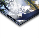 Yosemite 2 Acrylic print