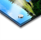 Acadia Wetland Acrylic print