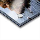 Acadia Coast Acrylic print