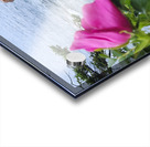 Acadia Point Acrylic print