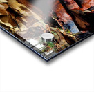 Iron Oxide Melt Acrylic print