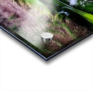 Reitz  2 AMD Acrylic print