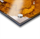 Red Maple Encased In Iron Oxide Impression Acrylique