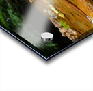 Carnahan Run Impression Acrylique