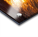 Golden Ocean Acrylic print