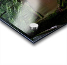 Hemlock Stream Acrylic print