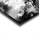 Sequoia Root Wad Impression Acrylique