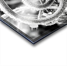 Natural Curl Acrylic print