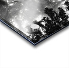 Misty Morning Rays Acrylic print