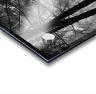 Forest Light Acrylic print