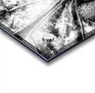 Botanical Shapes Acrylic print