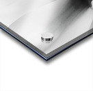 Ethereal Flower Acrylic print