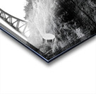 Letchworth State Park Acrylic print