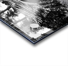 Devils Postpile National Monument Acrylic print