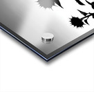 Sunflower Silhouette Acrylic print