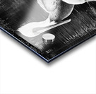 Stork Trio Acrylic print