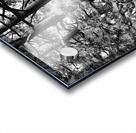 Evergreen Trident Impression Acrylique