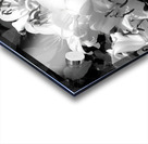 Lilies Acrylic print