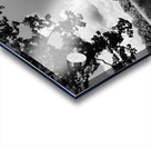 Meadow Acrylic print